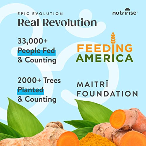 NutriRise Glucosamine Chondroitin Quercetin & MSM with Turmeric Curcumin 2100mg Triple Strength