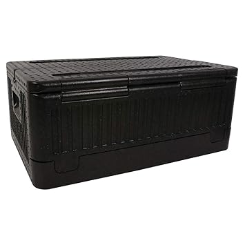 Lenoxx - Nevera portátil y Ligera sin Isla, Capacidad de ...