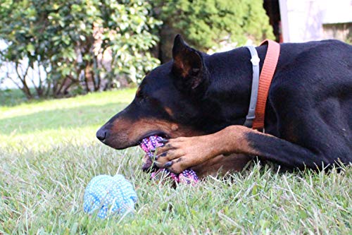 image for BK Dog Rope Toys -Dog Toys - Chew Toys for Puppy Small Dogs and Medium