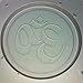 Flexible Resin or Chocolate OM Sign Mold