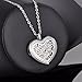 Aromatherapy Essential Oil Diffuser Necklace Heart Pendant Stainless Steel Locket Pendant with 24 Inch Chain
