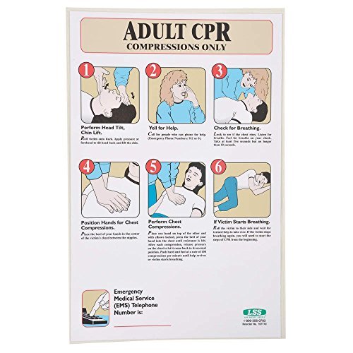 First Aid Poster, 17 x 11In