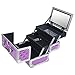 SHANY Chic Makeup Train Case Cosmetic Box Portable Makeup Case Cosmetics Beauty Organizer Jewelry storage with Locks, Multi trays Makeup Storage Box with Makeup Mirror - Purple