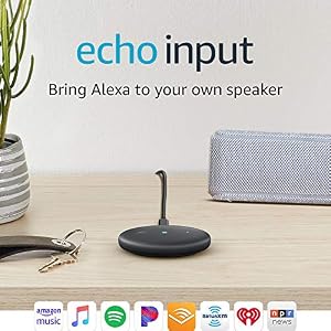 Echo Input Image