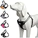 BINGPET No Pull Dog Harness Reflective for Pet Puppy Freedom Walking Large Black