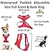 Dexil Service Dog Red Color Coded Non-Pull Front and Back D Ring Padded and Waterproof Vest Dog Harness Prevents Accidents by Warning Others of Your Dog in Advance (S)