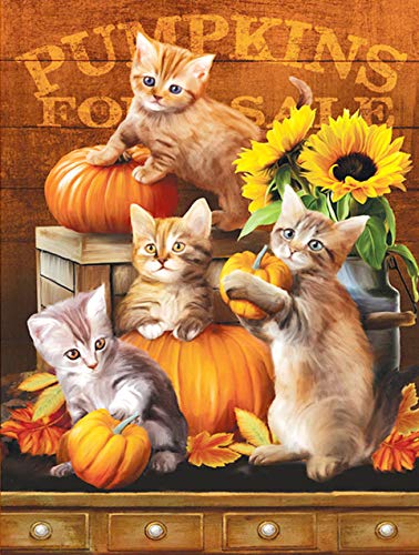 Diamond Painting Kits for Adults,cute cat DIY 5D Round Full Drill Art for Home Wall DIY Canvas Painting Decor(35X45CM)