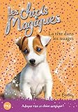 La Tete Dans Les Nuages (Magic Puppy) (English and French Edition) by 