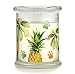 Pet House 9 oz Pina Colada Scented Pet Odor Candle, Clean Burning, Long Lasting, Plant Based Spring, Summer Scented Soy Candle, 60 Hour Burn Time
