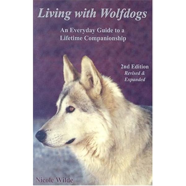 Wolfdogs A-Z: Behavior, Training & More (Wolf Hybrids