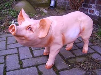 Schwein Eber Sau Ferkel Schaut Nach Oben Tierfiguren Bh059