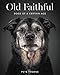 Old Faithful: Dogs of a Certain Age