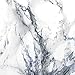 iPhone 6 Plus Case, GMYLE Hard Case Print Crystal for iPhone 6 (5.5 inch Display) - White Marble Pattern Slim Fit Snap On Protective Hard Shell Back Case