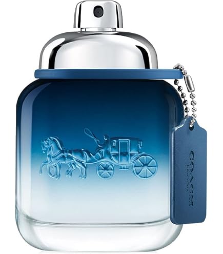 Coach Blue Eau De Toilette Spray for Men, 3.3 Fl Oz : COACH