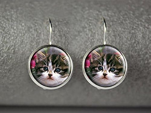 Cat earrings, Cat jewelry, Cat photo earrings, Cat dangle earrings