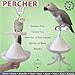 Featherland Paradise | The Percher | Portable Training Bird Perch