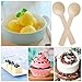 250 PCS Disposable Wood Spoon Mini Tasting Spoons, 4 Inches