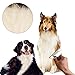 Dog Brush, Dogloveit [Stainless Steel] Deshedding Tool for Dogs Cats- Long Hair and Short Hair Pet Grooming Comb (Large)