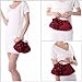 BMC Burgundy Floral Embellished Sheer Chiffon Exterior Kissing Lock Clasp Resin Handle Framed Party Clutch - Evening Out Collection