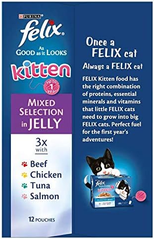 felix kitten food