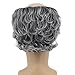 yuehong Short Gray Curly Bald Old Men Wig Receding Hairline Costume Hair Heat Resistant Synthetic Fibers Soft Breathable Wig(Gray)