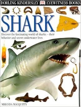 Eyewitness Shark Eyewitness Books Miranda Macquitty