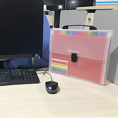 Accordion Folder File Organizer 13 Pockets Expanding A4/Size Letter Paper Multi-Colour Large Capacity Portable Box Document Stand Bag -Bonus Labels for Office, Business, Study