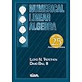 Numerical Linear Algebra: Twenty-Fifth Anniversary Edition