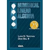 Numerical Linear Algebra: Twenty-Fifth Anniversary Edition