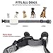 Dog Bark Collar, TIMPROVE 2020 Latest Design Backlight LED Rechargeable IP67 Waterproof Effective Anti Bark Collar for Small Medium Large Dogs with Smart Automatic Sensorthumb 3