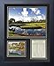 TPC Sawgrass Hole #17 at The Players Championship Collectible | Framed Photo Collage Wall Art Decor - 12