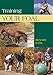 Training Your Foal