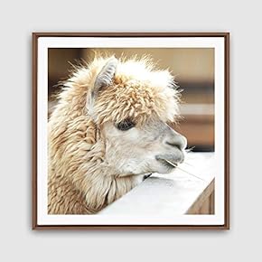 Framed Canvas Wall Art Alpaca Canvas Prints Home Artwork Decoration for Living Room,Bedroom - 16x16 inches