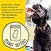 Smartypaws Dog Supplements- Glucosamine & Chondroitin + MSM For Joint Support, Fish Oil Omega 3 (Epa & Dha), Probiotics, Organic Turmeric: Senior Small Breed - By Smartypants Vitamins - 60 Ct