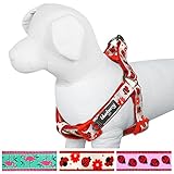 Blueberry Pet Soft & Comfy Step-in Glam Life of Ladybug with Flower Padded Dog Harness, Chest Girth 15.5