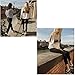 Germinate White Crewneck Sweaters Women Fall Winter Casual Work Christmas Holiday Knitted Pullover Plus Size Oversized (Beige, L)
