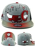Chicago New Leader Bull Head Skyline Bulls Colors Gray Red Era Snapback Hat Cap