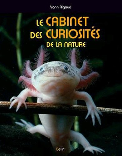 Le  cabinet des curiosités de la nature