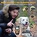 Haliluya Shock Collar for Dogs, Rechargeable 100% Waterproof Dog Training Collar,2000FT Range Dog Shock Collar with Remote, 3 Modes Beep/Vibration/Shock Collar for Small Medium Large Dogs,All Breedsthumb 4