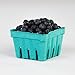 Pactiv Biodegradable M336184 Green Pulp Quart Sized Berry Basket - 250 per case