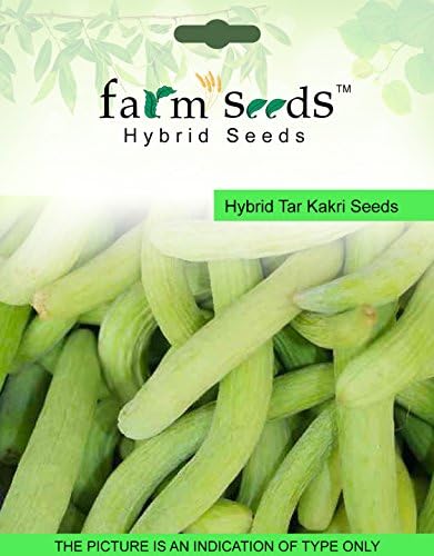 FARM SEEDS Hybrid Tar Kakri 1 Packet Seeds Seed (100 per packet)