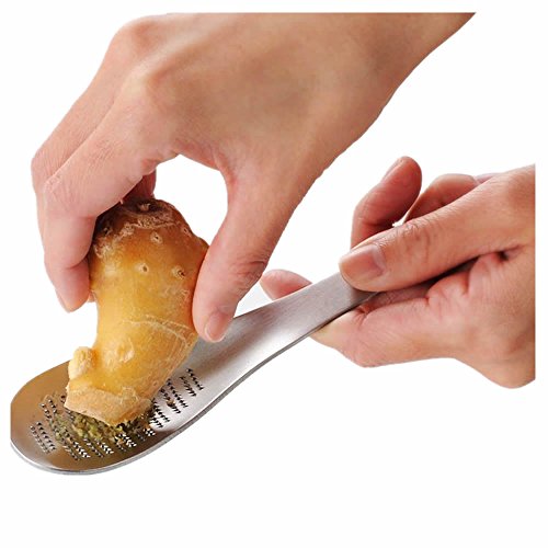 ISKYBOB Stainless Steel Garlic/Ginger Grater Grinder Zester Spoon