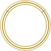 SYLWIA 14K Solid Gold 18g/16g Nose Rings, 6/8/10mm Hinged Segment Septum Rings, Real Gold Lip Tragus Helix Cartilage Conch Earring Hoops Piercing for Women Men