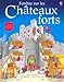 Fenêtre sur les Châteaux forts by 