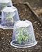 Gardener's Supply Company Large Garden Cloche Plant Protector | Clear Sturdy PVC Dome Cover with Top Hole Ventilation for Young Plants & Seedlings | 13