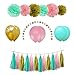 Pink Gold Mint Party Decorations, Tissue Paper Flowers & Craft Pom Poms + Tassel Garland + Birthday Balloons – Party Supplies and Party Decorations Kit for Wedding, Birthday, Baby Shower