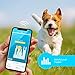 PETBLE Dog Cat Pet Smart Tag Tracker - Portable Bluetooth Wireless 4.0 Lightweight, Waterproof, Compatible with Multiple Smart Devices 24/7 Activity Monitor Pet Health Tracker for IOS Android (Yellow)