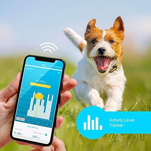 PETBLE Dog Cat Pet Smart Tag Tracker - Portable Bluetooth Wireless 4.0 Lightweight, Waterproof, Compatible with Multiple Smart Devices 24/7 Activity Monitor Pet Health Tracker for IOS Android (Purple)