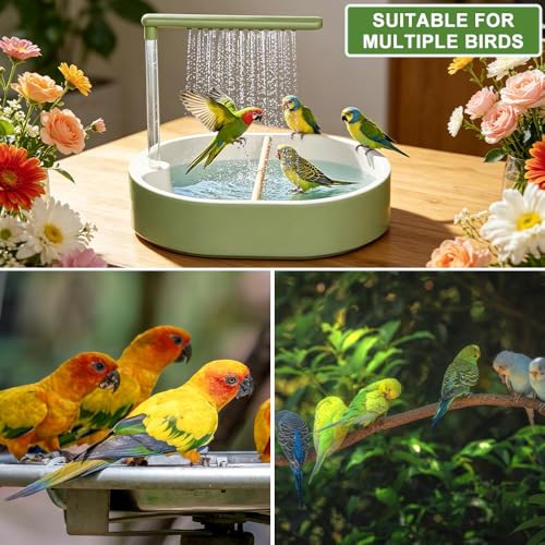 Nzkeuf Bird Shower Budgie, Budgie Shower, Automatic Bird Bath with Pump, Quiet Tub, Bird Bath with Circulation Tap for Parrots and Small Birds (Green)
