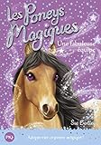 Les poneys magiques, Tome 13 : Une fabuleuse équipe by 